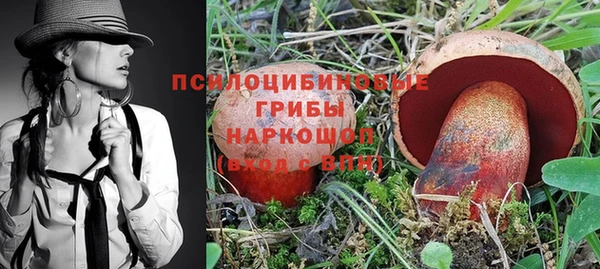 молекула духа Липки