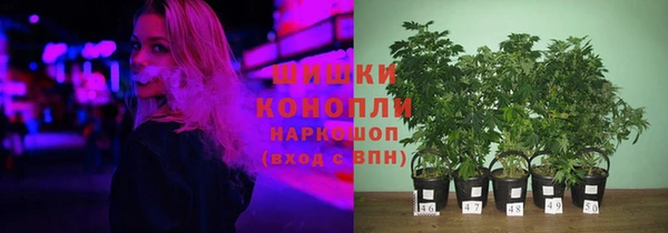 гашик Лиски