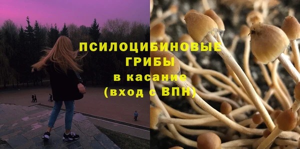 молекула духа Липки