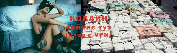гашик Лиски