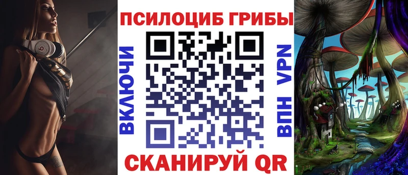 дарк нет телеграм  mega tor  Суздаль  купить наркотик  Галлюциногенные грибы ЛСД 