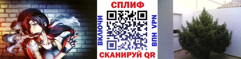 Каннабис ГИДРОПОН  ОМГ ОМГ вход  Суздаль 